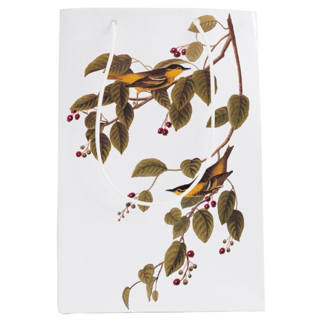 Carbonated Warbler Audubon Bird Medium Gift Bag (Front)