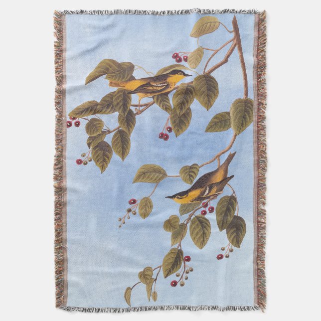 Carbonated Warbler Audubon Bird Throw Blanket (Front Vertical)