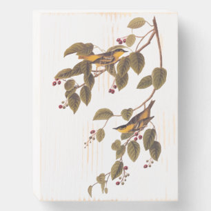 Carbonated Warbler Audubon Bird Wooden Box Sign