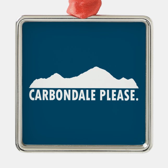 Carbondale Please Metal Ornament (Front)
