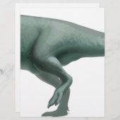 Carcharodontosaurus (Front/Back)