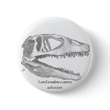 Carcharodontosaurus saharicus skull button
