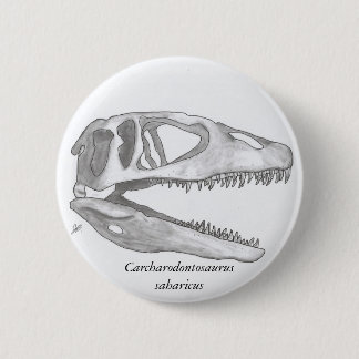 Carcharodontosaurus saharicus skull button