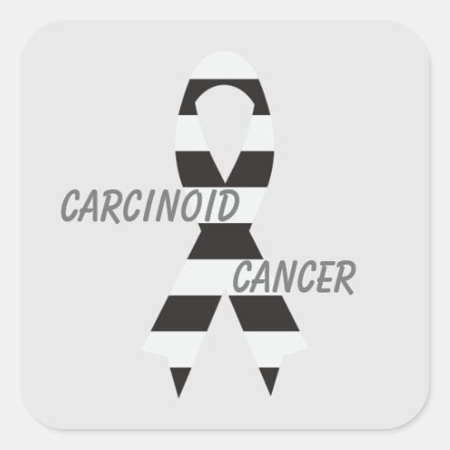 Carcinoid Cancer Zebra Awareness Ribbon by Janz Square Sticker