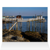 Card (Inside Horizontal (Top))