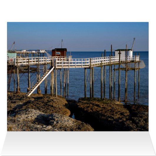 Card (Inside Horizontal (Top))