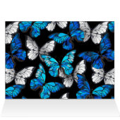 Card (Inside Horizontal (Top))