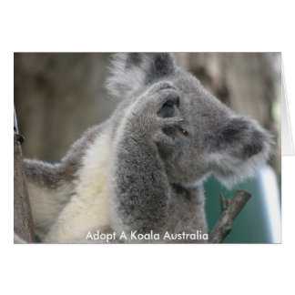 Card Adopt A Koala Australia Paw