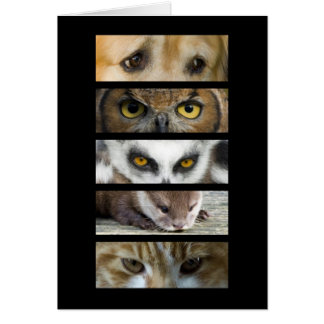 Card - Animals Eyes