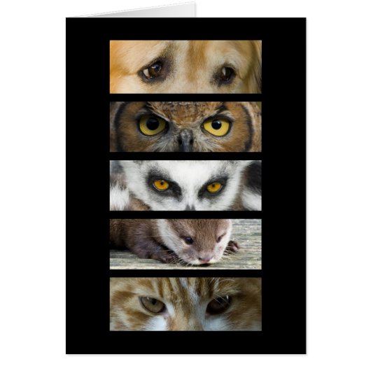 Card - Animals Eyes (Front)
