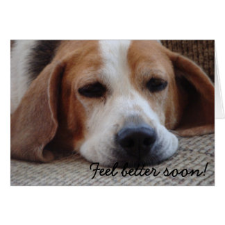 Card: Beagle Feel Better Soon Cards