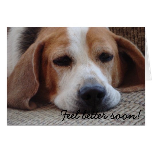 Card: Beagle Feel Better Soon Cards (Front Horizontal)