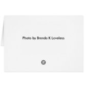 Card - Black Swallowtail 181 (Back Horizontal)