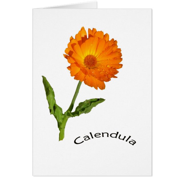 Card - blank - Calendula with label (Front)