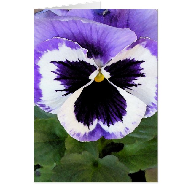 card - Blue, White and Purple Pansy (Front)