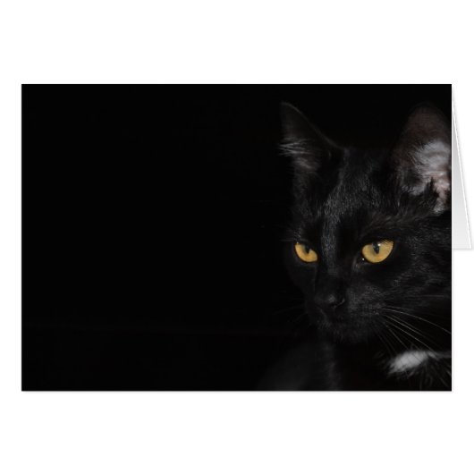 Card - Cat - Purr (Front Horizontal)