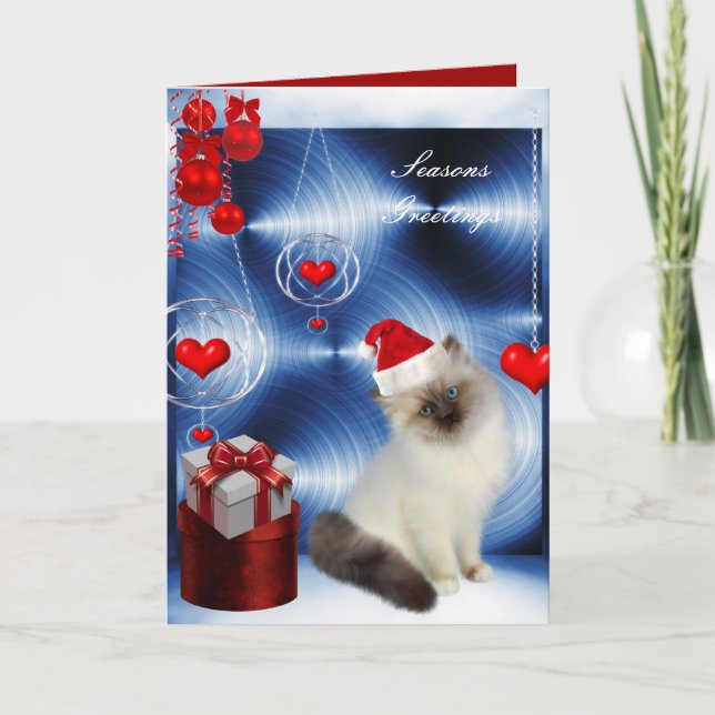 Card Christmas Fluffy White Grey Cat (Front)