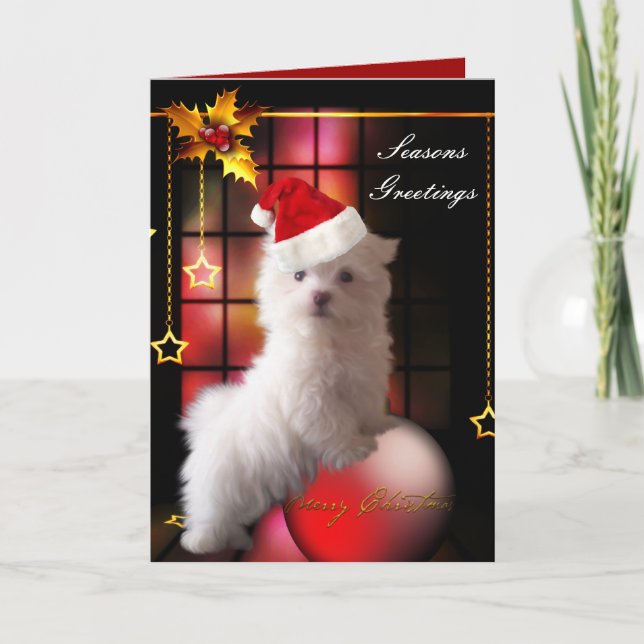 Card Christmas White Maltese Puppy Dog (Front)