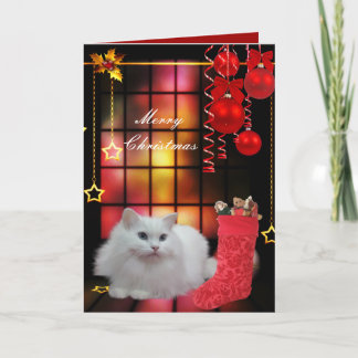 Card Christmas Xmas Cat