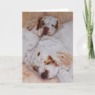 card - Comfort - Two Clumber Spaniels