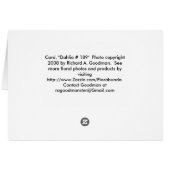 Card, "Dahlia # 189" (Back Horizontal)