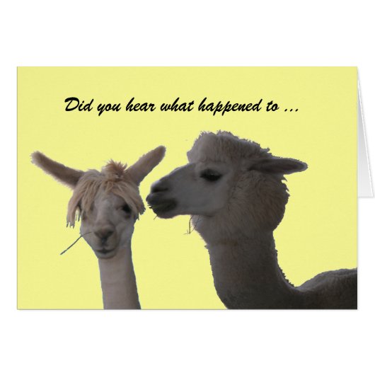 Card - Did You Hear ... (Front Horizontal)