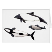Card Dolphin of ovejera Commerson or tonina (Front Horizontal)