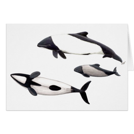 Card Dolphin of ovejera Commerson or tonina (Front Horizontal)