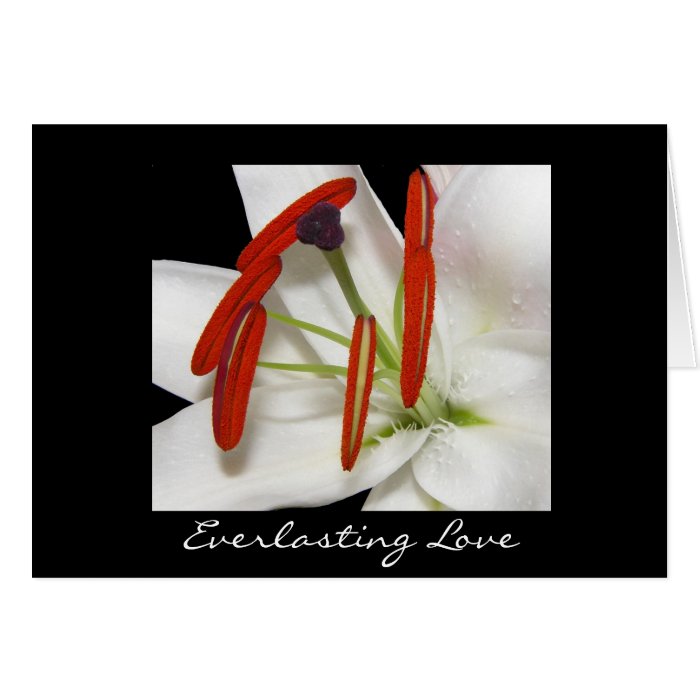 Card Everlasting Love Lily Flower