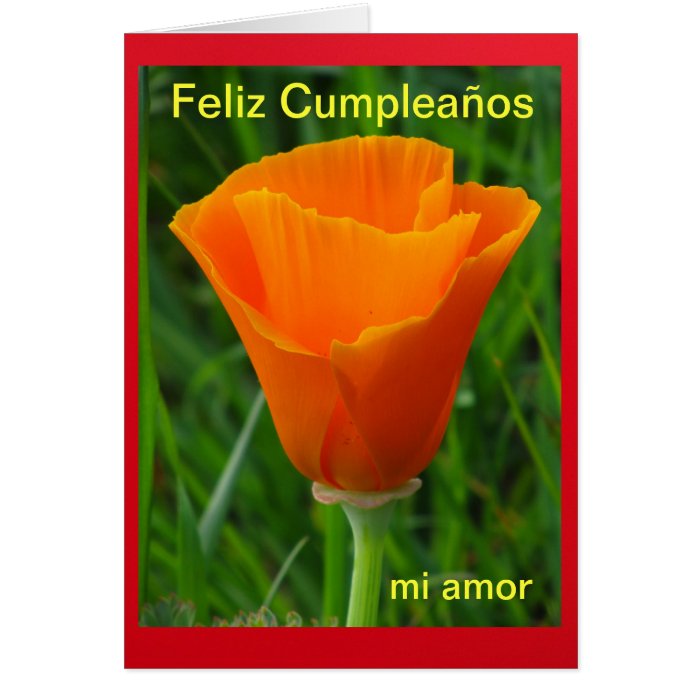 Card   Feliz Cumpleaños, mi amor