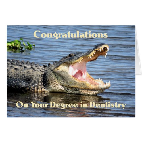 Card for Degree in Dentistry Humor with Alligator