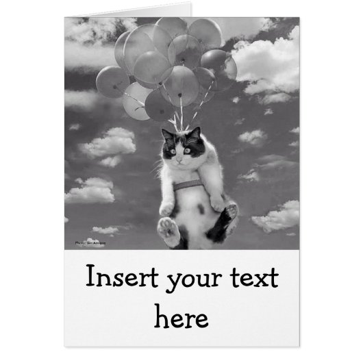 Card: Funny cat flying with Balloons (Front)