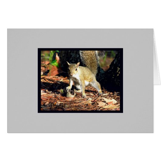 Card - Got Nuts? (Front Horizontal)