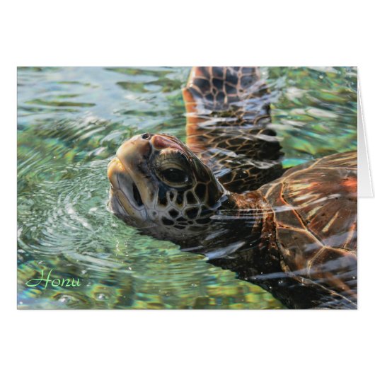 Card: Green Sea Turtle Cards (Front Horizontal)