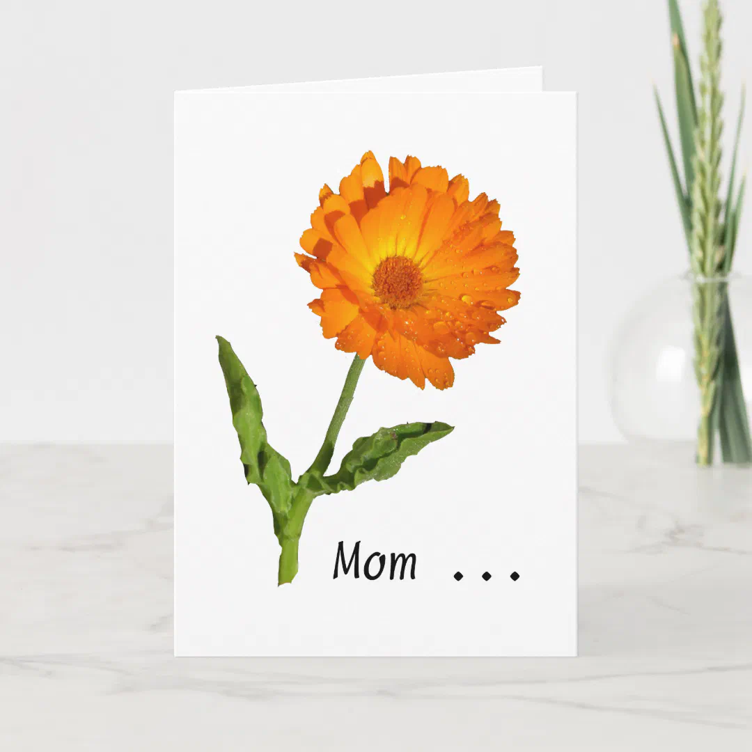 Card - Greeting - Calendula Thanks (Front)