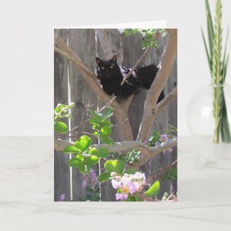 Card, Greeting - Cat in Branches