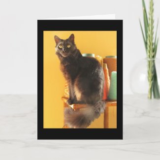 Card - Greeting - Cat with Yarn