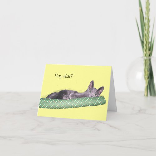 Card _ Greeting _ Gray kitten