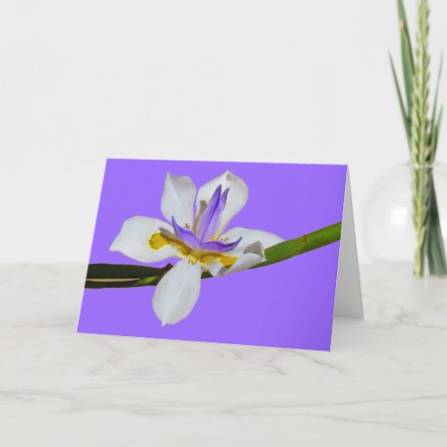 Card _ Greeting _ Iris