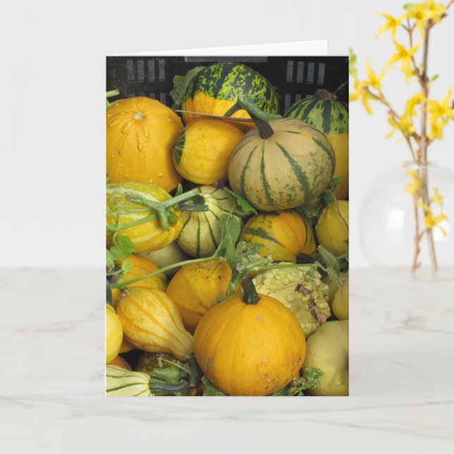 Card - Greeting - Thanks Giving Gourds (Yellow Flower)