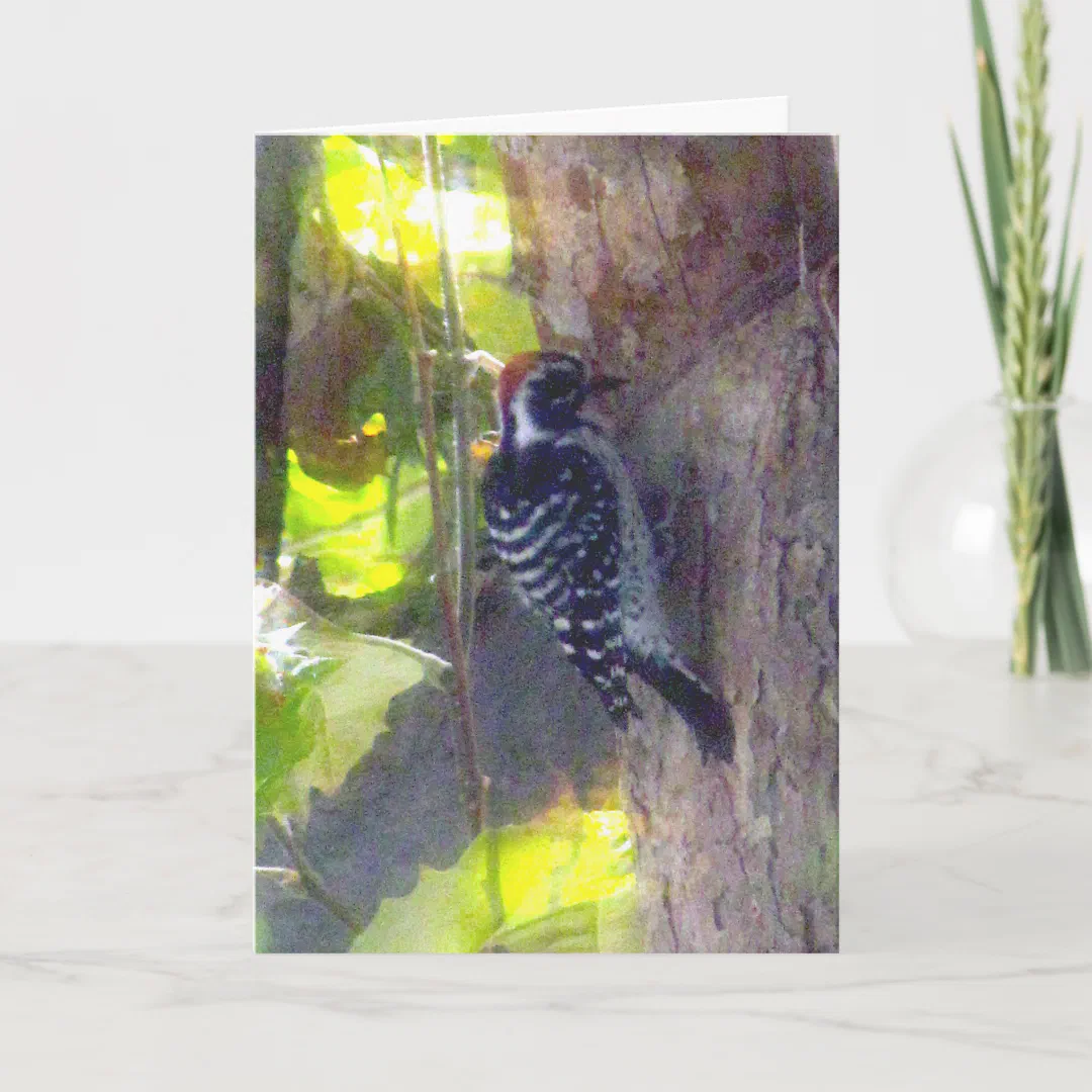 Card - Greeting - Woodpecker (Front)