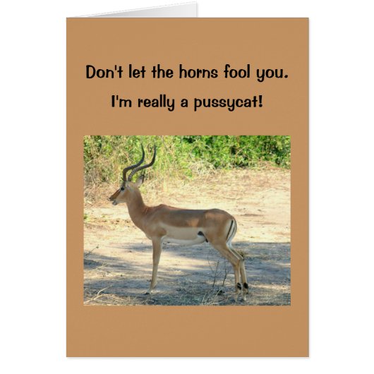 card, Humorous, "Don't Let the Horns Fool You" (Front)