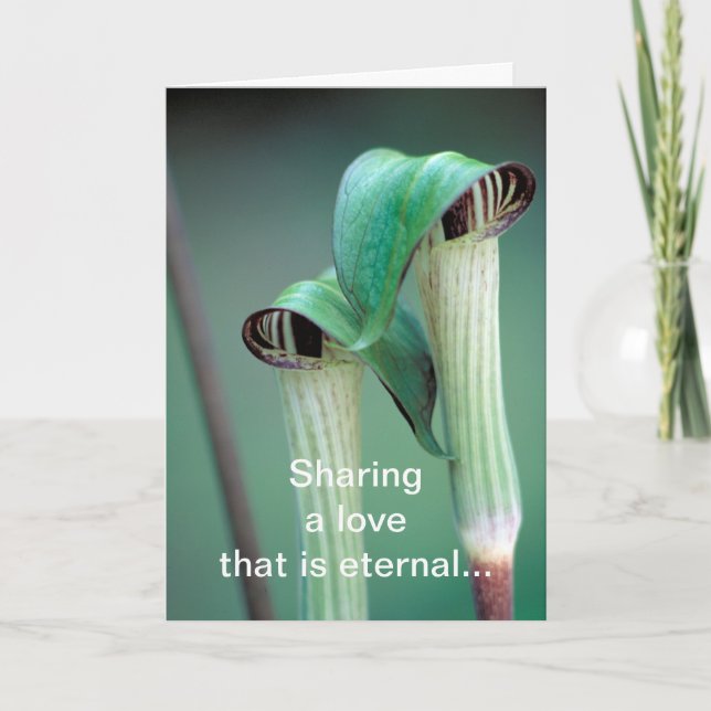 Card /  Jack-in-the-pulpit (Front)