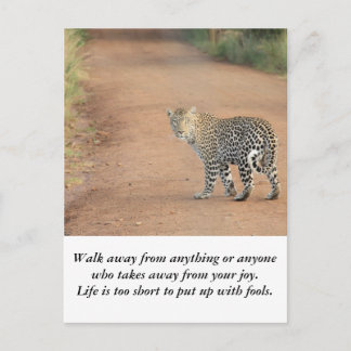 Card: Life is too short Postcard