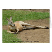 Card Male Kangaroo Reclining! Australia (Front Horizontal)