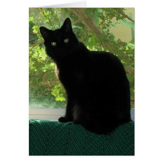Card - Note - Black cat in window (Front)
