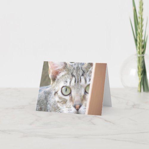 Card _ Note _ Forlorn Kitten