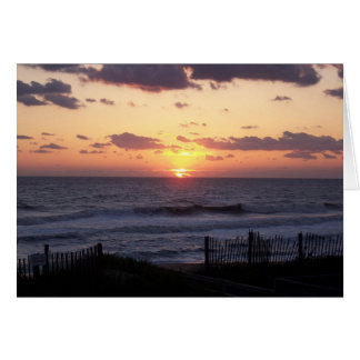 Card-OBX Sunrise-295 Cards