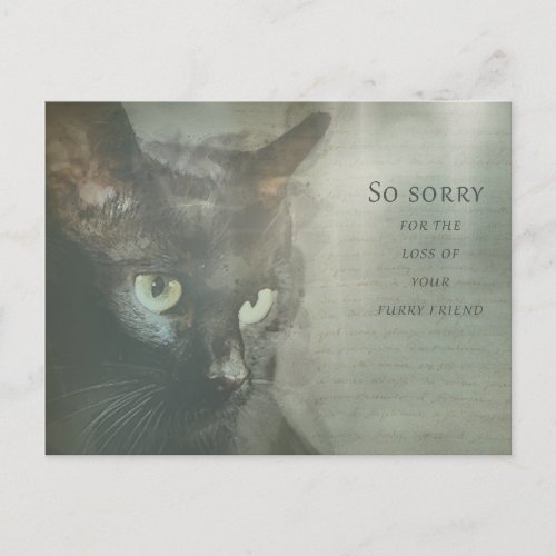 card of condolence cat _ black _ sympathy card