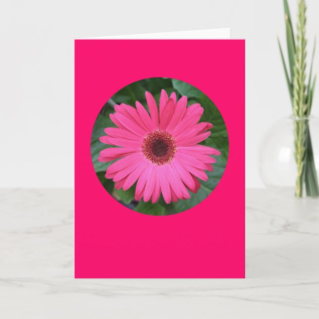 Card, "Pink Gerber Daisy in a Circle" B-1 Card (Front)